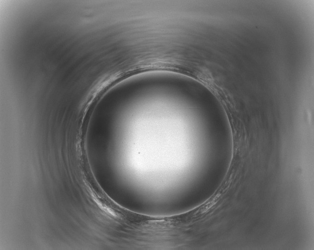 X0000061720050200512050917