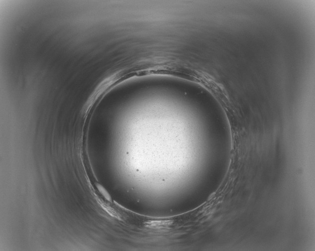 X0000061720051200512050917