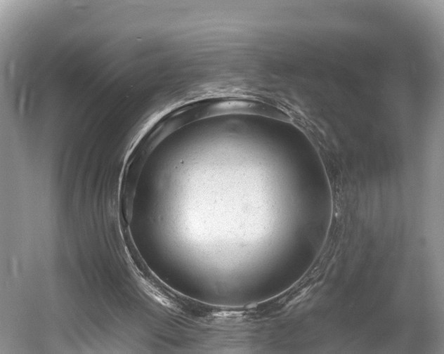 X0000061720052200512050917