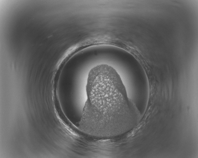 X0000061720054200512050917