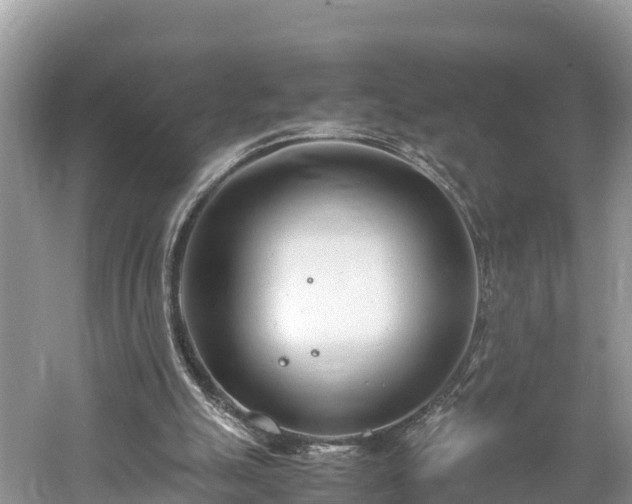 X0000061720055200512050917