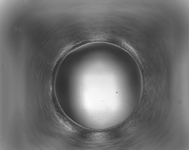 X0000061720059200512050918