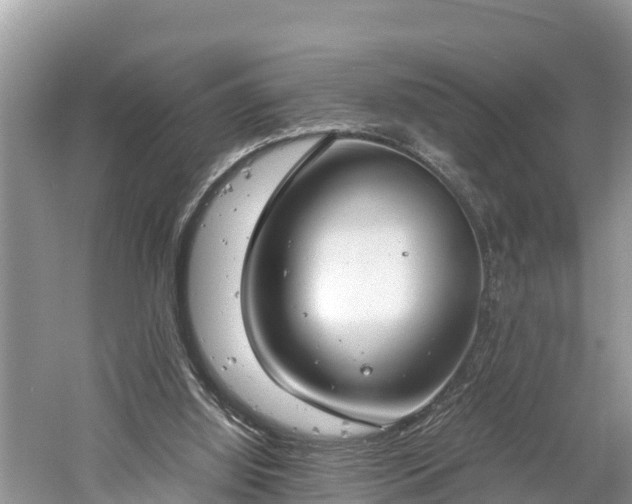 X0000061720060200512050918