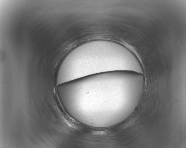 X0000061720061200512050918