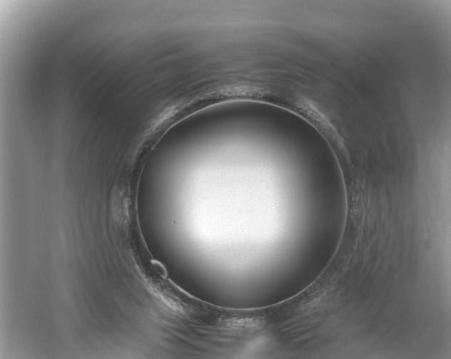 X0000061720063200512050918