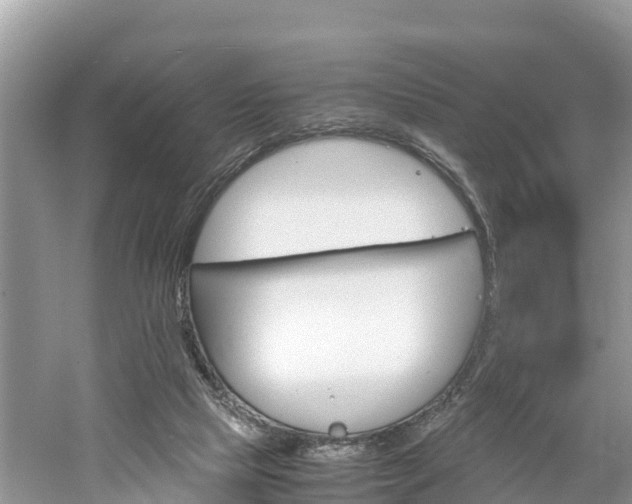 X0000061720065200512050918