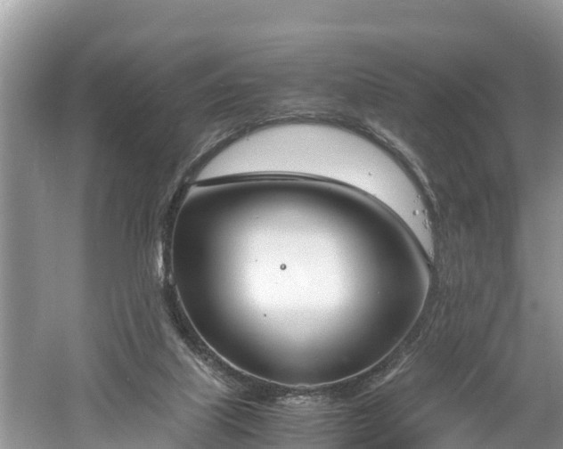 X0000061720067200512050918