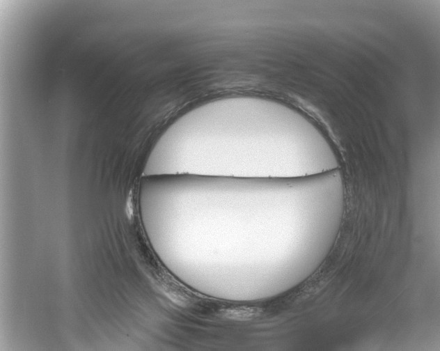 X0000061720069200512050918