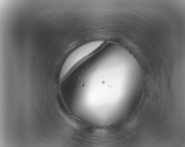 X0000061720071200512050918