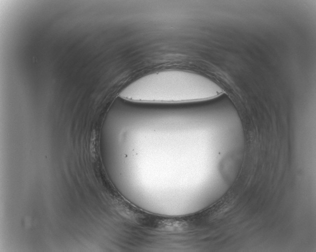 X0000061720073200512050918