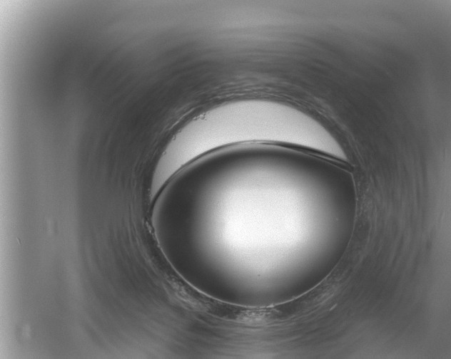 X0000061720076200512050918