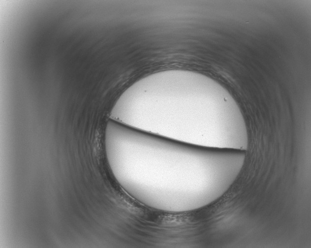 X0000061720077200512050918