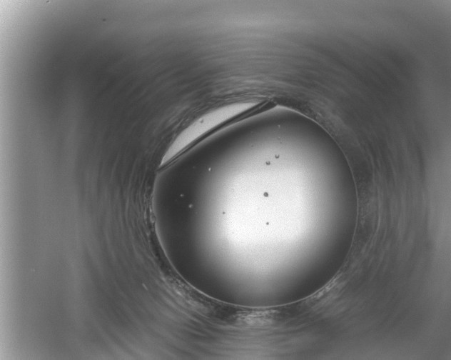 X0000061720078200512050918