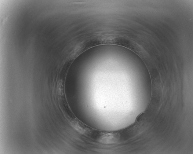 X0000061720083200512050918