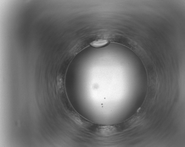 X0000061720087200512050918