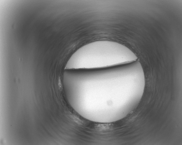 X0000061720089200512050918