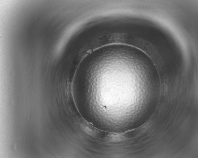 X0000061720093200512050918