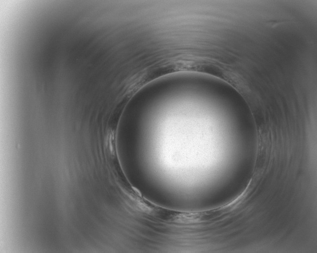 X0000061720094200512050918