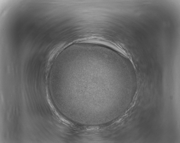 X0000061720097200512050917