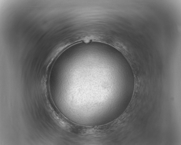 X0000061720098200512050917