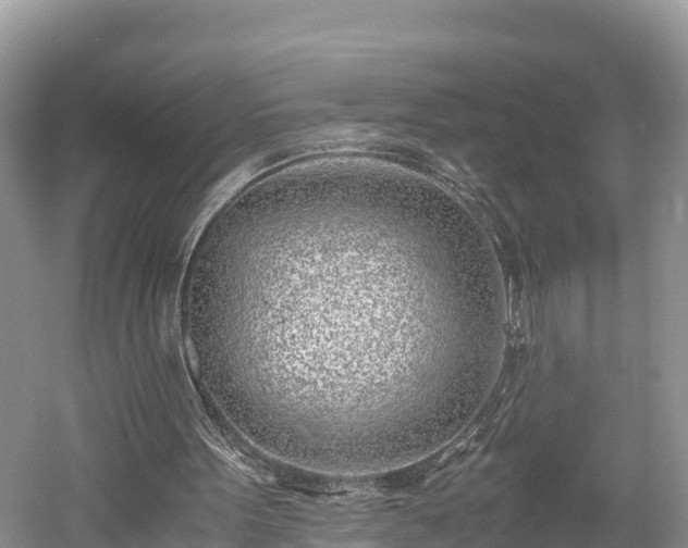 X0000061720099200512050917