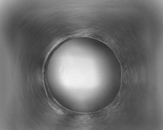 X0000061720100200512050917