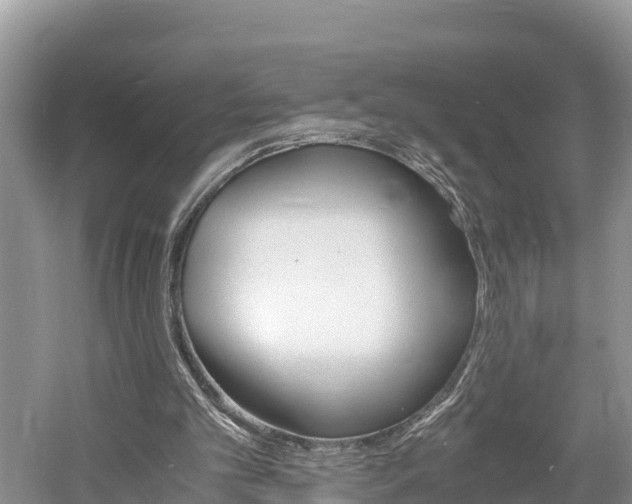 X0000061720101200512050917