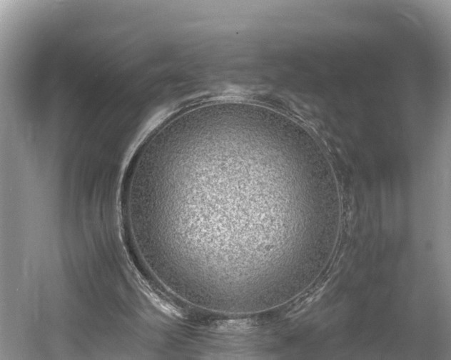 X0000061720102200512050917