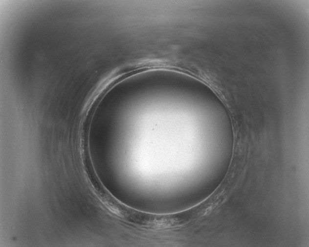 X0000061720103200512050917