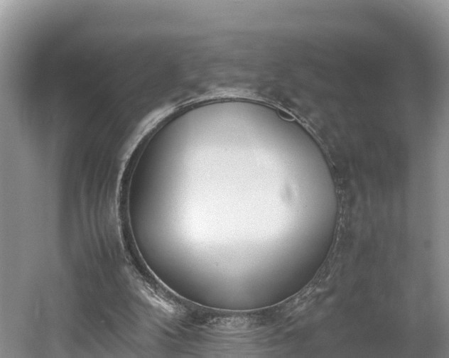 X0000061720104200512050917