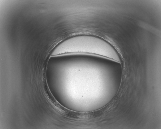 X0000061720105200512050917