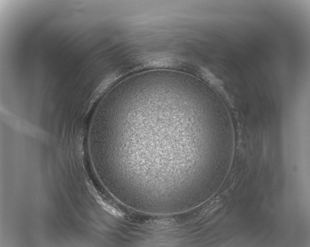 X0000061720106200512050917