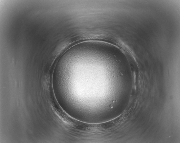 X0000061720107200512050917