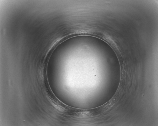 X0000061720108200512050917