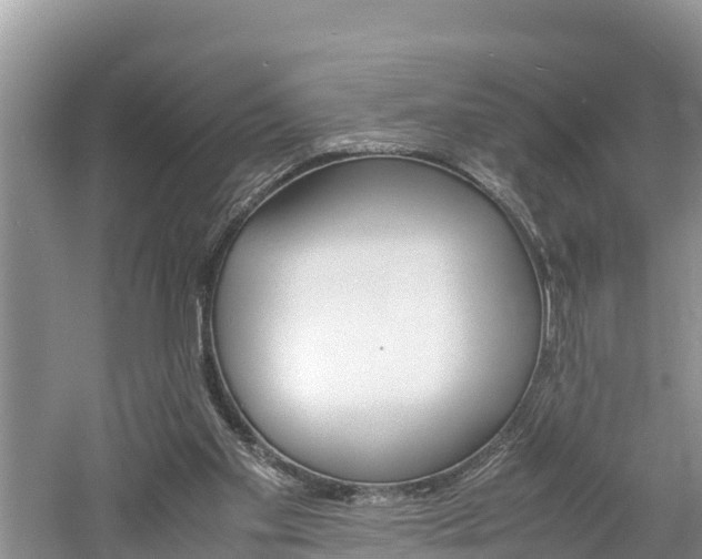 X0000061720109200512050917