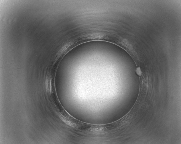 X0000061720110200512050917