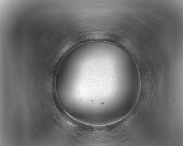 X0000061720111200512050917