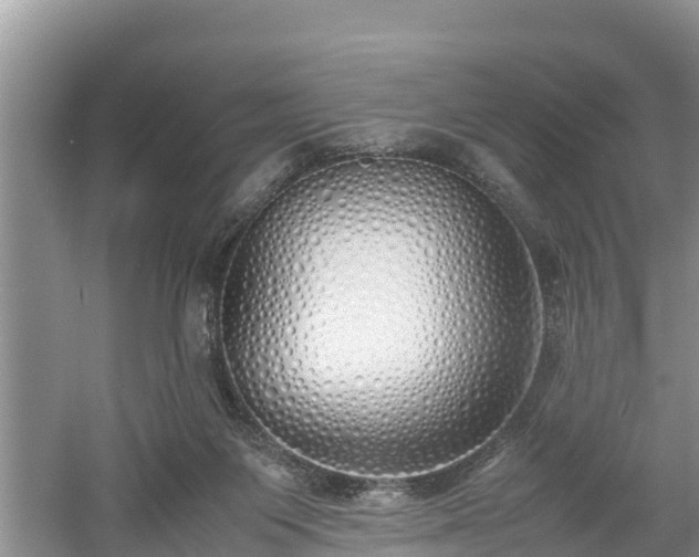 X0000061720119200512050917