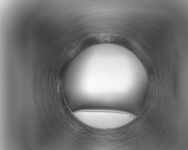 X0000061720125200512050917