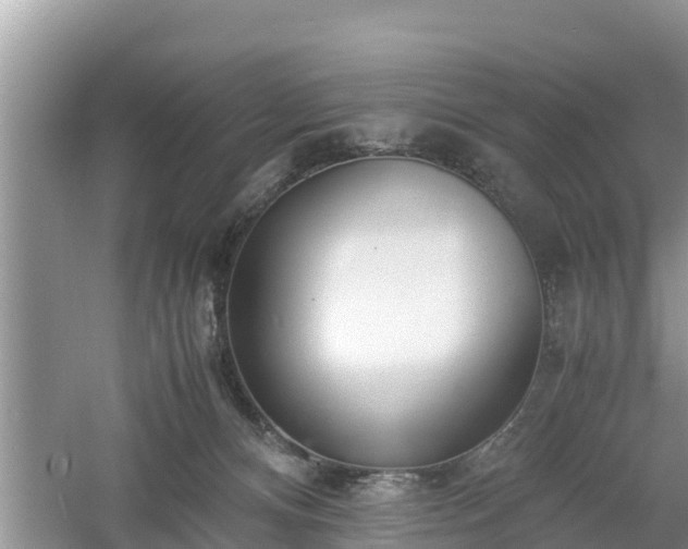 X0000061720128200512050917