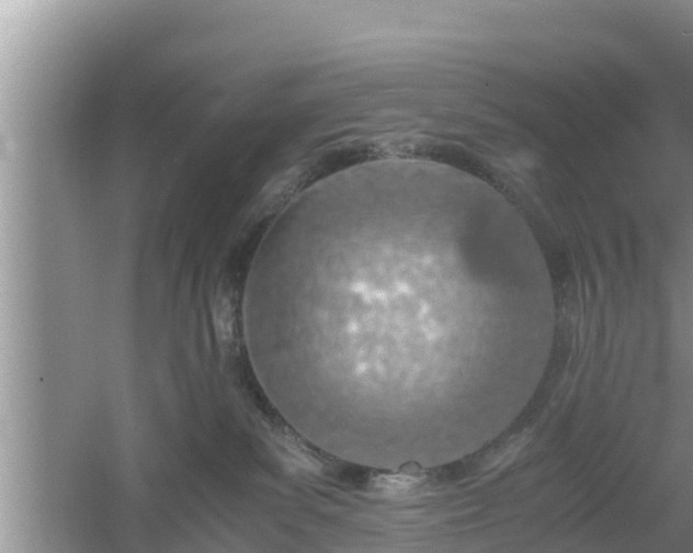 X0000061720139200512050917