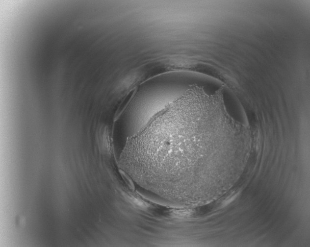 X0000061720143200512050917