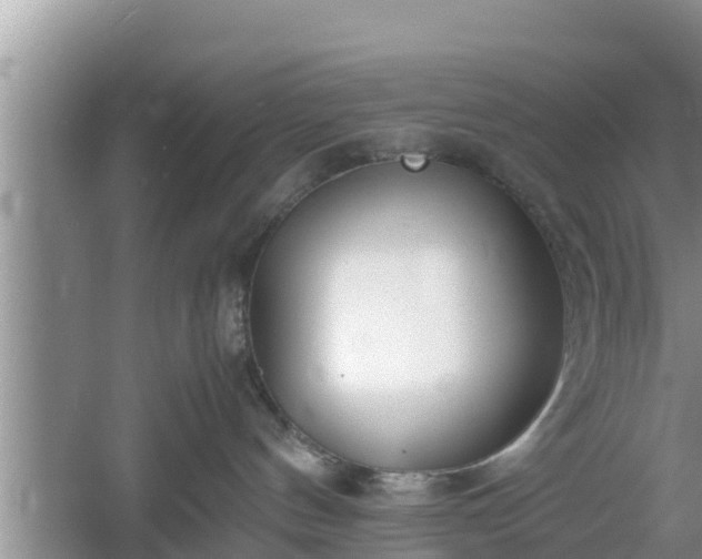 X0000061720144200512050917