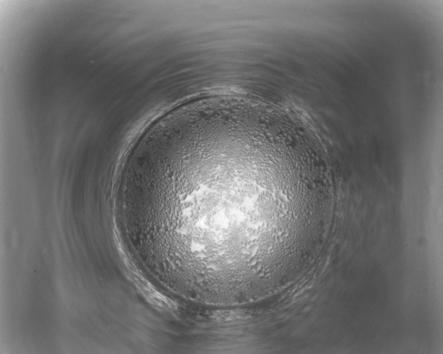 X0000061720145200512050916