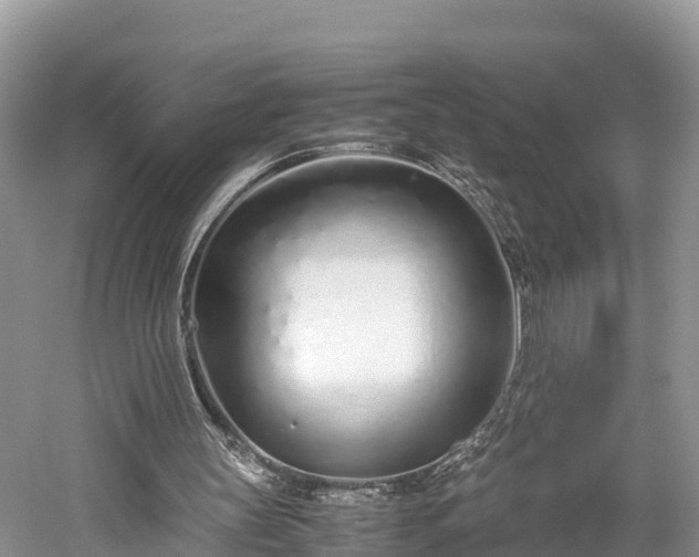 X0000061720147200512050916