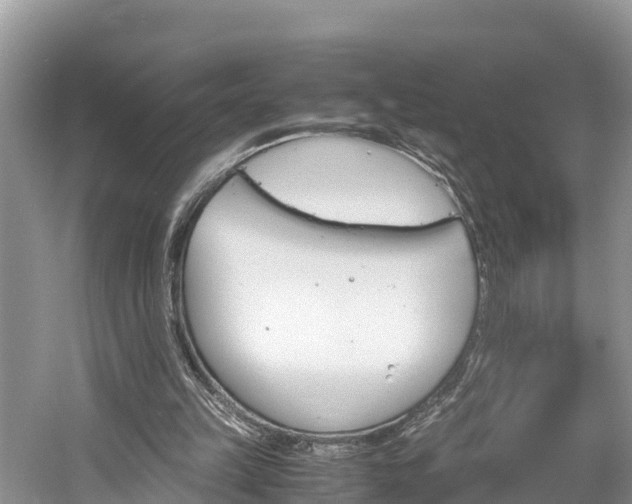 X0000061720149200512050916