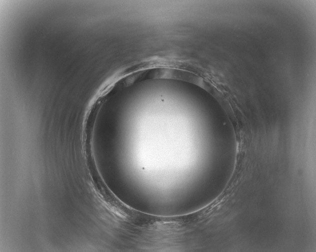 X0000061720150200512050916