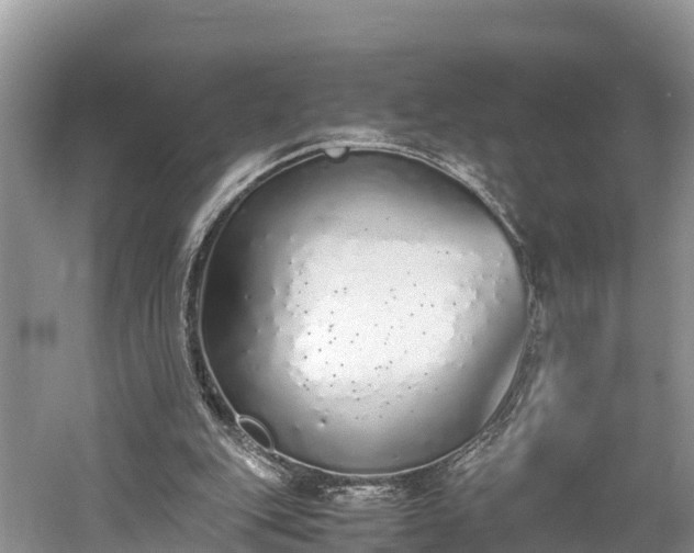 X0000061720151200512050916