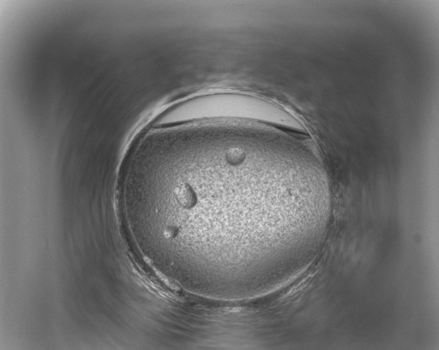 X0000061720152200512050916