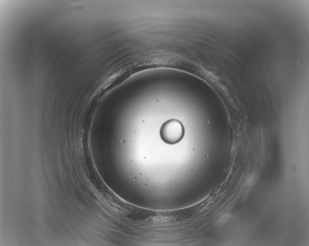 X0000061720154200512050916